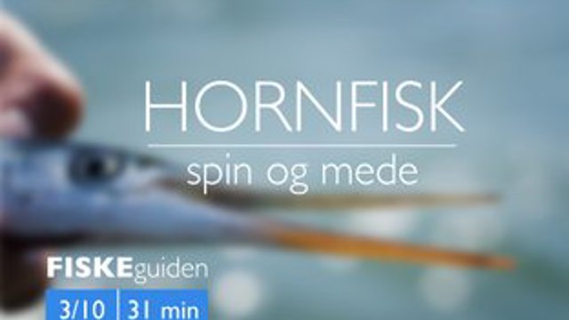 Thumbnail Hornfisk 3 10