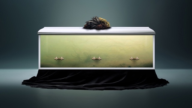 Aquarium Coffin Presentation Final Web